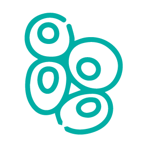 Citometría de Flujp