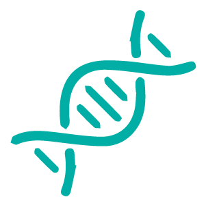 Genética